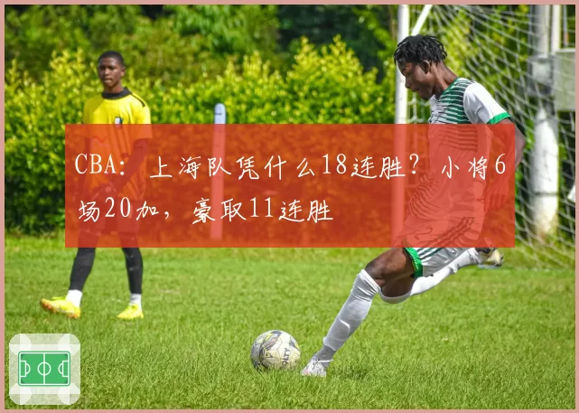 CBA:上海队凭什么18连胜?小将6场20加,豪取11连胜