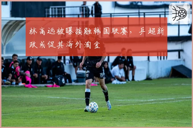 林高远被曝接触韩国联赛，乒超新政或促其海外淘金