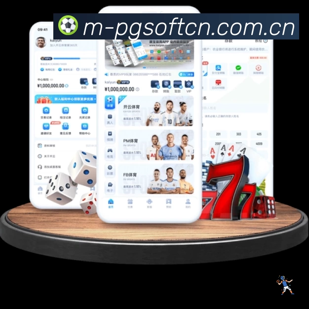 功能图2
